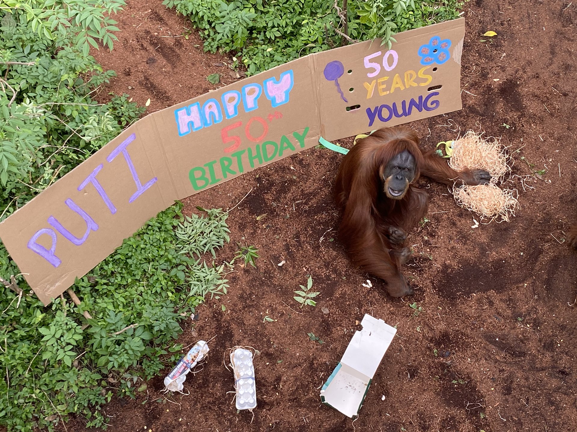 double-celebration-for-perth-zoo-perth-zoo